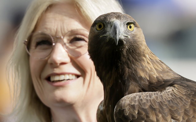Eintracht mascot golden eagle Atilla before the German Bundesliga soccer match between Eintracht Frankfurt and 1. FC Union Berlin in Frankfurt, Germany, 09 March 2025. (Photo by Ronald Wittek/EPA)