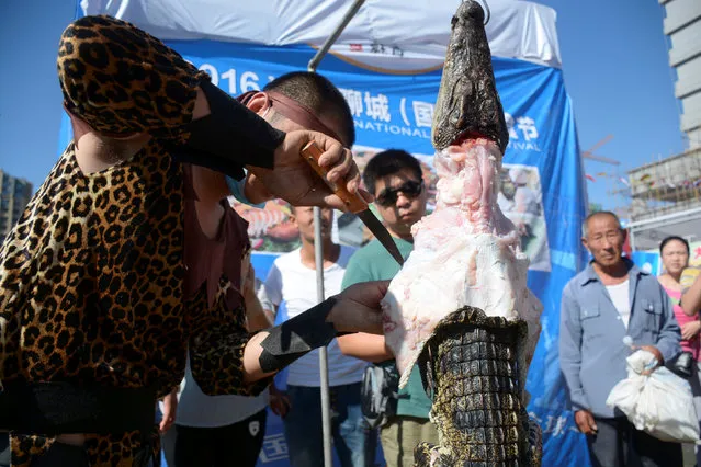 A man prepares crocodile barbecue during a food festival in Liaocheng, Shandong province, China, August 27, 2016. (Photo by Reuters/Stringer)