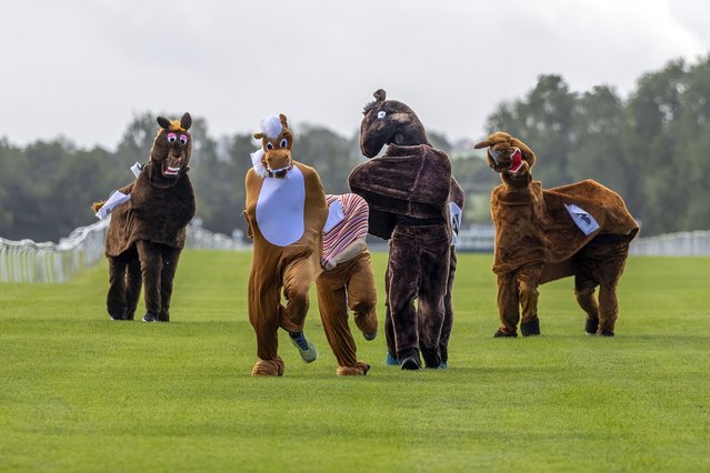 The inaugural Pantomime Horse Race takes place on Ripon Racecourse's August family race day on August 4, 2025 in UK. (Photo by James Glossop/The Times & Sunday Times)