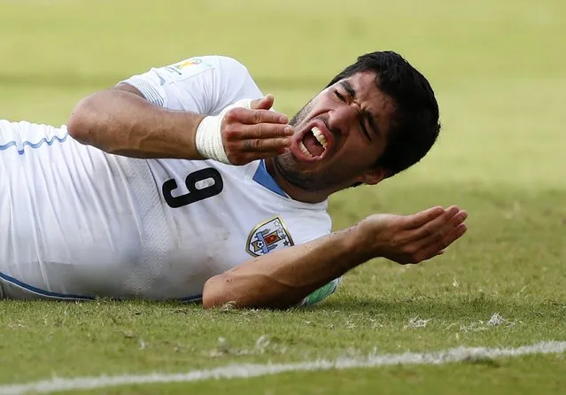 Uruguay's Luis Suarez reacts after clashing with Italy's Giorgio Chiellini during their 2014 World Cup Group D soccer match at the Dunas arena in Natal, in this June 24, 2014 file photo. (Photo by Tony Gentile/Reuters)