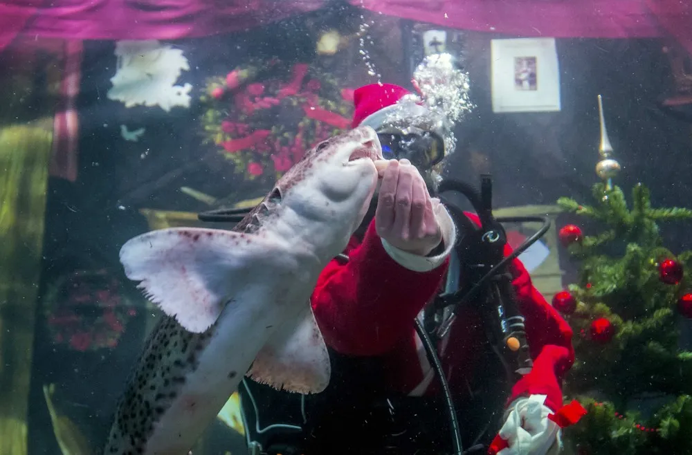 The Week in Pictures: November 29 – December 5, 2014. Part 3/6