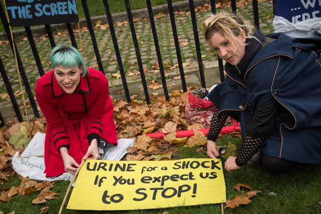 Protesters sat on each other's faces outside Parliament in direct defiance of new laws restricting the content of p*rn films made in the UK on December 12, 2014. An amendment to the 2003 Communities Act applies the same strict rules to p*rn bought online as those included in the guidelines set out by the British Board of Film Censors for DVDs. (Photo by Vianney Le Caer/AAP Image/NewZulu)