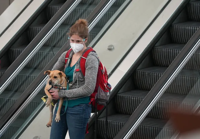 A traveller wears a face mask and a shield while carrying her dog on an escalator near the south security checkpoint in Denver International Airport Tuesday, December 22, 2020, in Denver. (Photo by David Zalubowski/AP Photo)