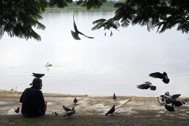 Tomas Sosa, a 57-year-old gardener, fed pigeons during a cloudy morning on the shore of the Paraguay River in President Hayes, Paraguay, Sunday, April 16, 2023. (Photo by Jorge Saenz/AP Photo)