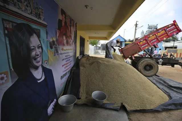 An Indian villager unloads paddy from a truck next to a banner displaying photographs of U.S. Vice President-elect Kamala Harris in Thulasendrapuram, the hometown of Harris' maternal grandfather, south of Chennai, Tamil Nadu state, India, Tuesday, January 19, 2021. The inauguration of President-elect Joe Biden and Vice President-elect Kamala Harris is scheduled be held Wednesday. (Photo by Aijaz Rahi/AP Photo)