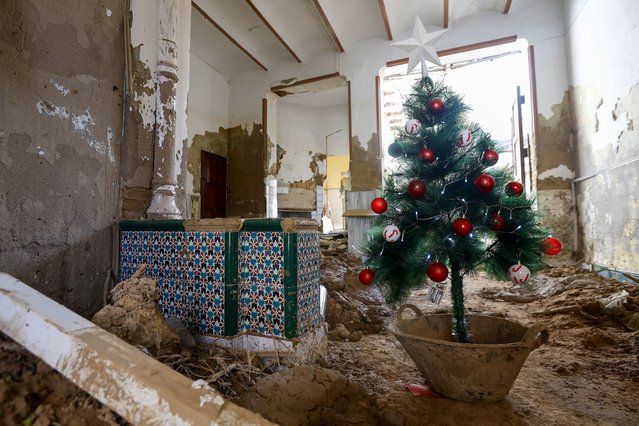 A christmas tree stands in the mud during the cleaning works in a house of Paiporta, Valencia province, Spain, 26 November 2024. Floods triggered by the DANA (high-altitude isolated depression) weather phenomenon hit the east of the country on 29 October 2024, devastating Valencia and neighboring provinces and leaving at least 229 people dead. (Photo by Miguel Angel Polo/EPA/EFE)