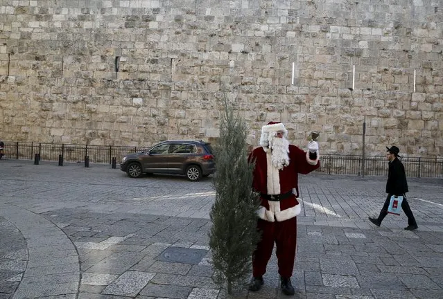 Israeli-Arab Issa Kassissieh wears a Santa Claus costume as he holds a bell and a Christmas tree during the annual distribution of Christmas trees by the Jerusalem municipality just outside Jerusalem's Old City December 21, 2015. (Photo by Ammar Awad/Reuters)