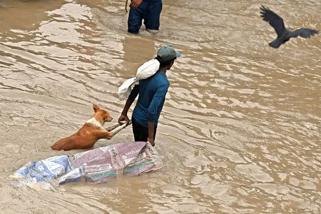 A man carries a dog to safety as they wade through the flooded waters of Yamuna River after heavy monsoon rains in New Delhi on July 12, 2023. (Photo by Arun Sankar/AFP Photo)