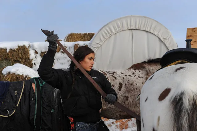 Waskoness Pitswanakwat, 16, puts a saddle on her horse in Oceti Sakowin camp during a protest against plans to pass the Dakota Access pipeline near the Standing Rock Indian Reservation, near Cannon Ball, North Dakota, U.S. December 2, 2016. (Photo by Stephanie Keith/Reuters)