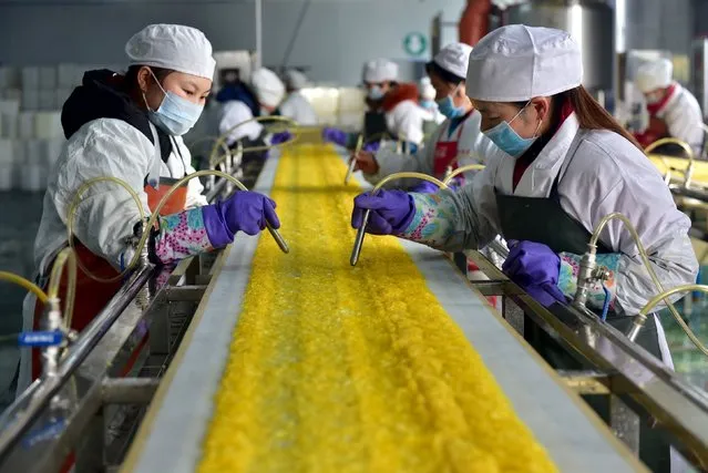 Employees work at a food processing factory in Yichang, Hubei province, January 17, 2016. (Photo by Reuters/Stringer)