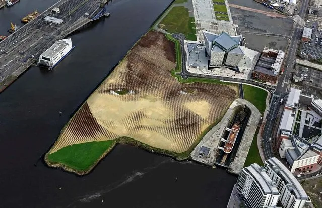 A piece of land art entitled “Wish” showing the face of an anonymous six-year-old local Belfast girl is seen in this aerial view of the Titanic quarter in Belfast, on Oktober 23, 2013. The artwork by Cuban-American artist Jorge Rodriguez-Gerada spans 11 acres, is made up from 2,000 tons of sand, 2,000 tons of soil and some 30,000 wooden pegs. It will remain on view until December 2013. (Photo by Cathal McNaughton/Reuters)
