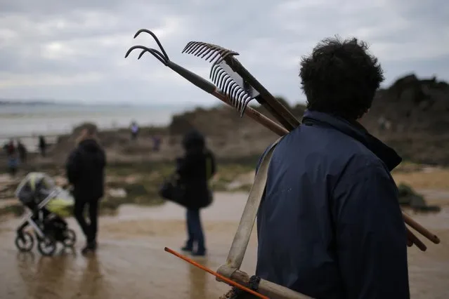 A man carries tools to dig for shellfish during a record low tide in Saint Malo, western France, March 21, 2015. (Photo by Stephane Mahe/Reuters)