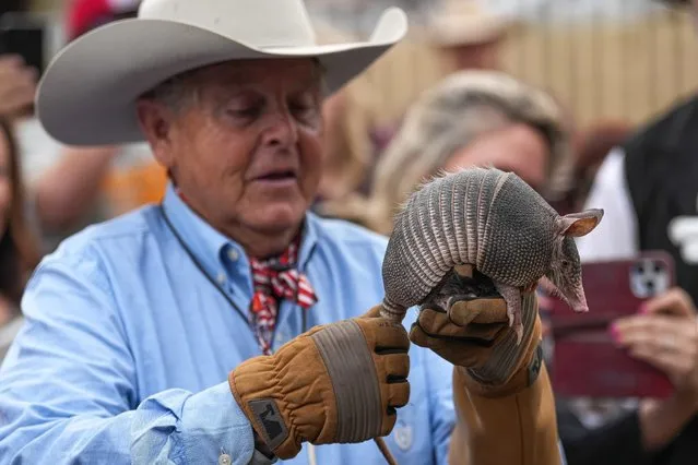 Ralph Fisher holds up Bobby, the three-month-old armadillo that will replace Bee Cave Bob after Armadillo Day at The West Pole in Bee Cave, Texas on February 2, 2024. Bob is an eight-year-old armadillo owned by Fisher that predicts the weather and political climate in place of a groundhog on Groundhog Day. (Photo by Aaron E. Martinez for USA TODAY Network)