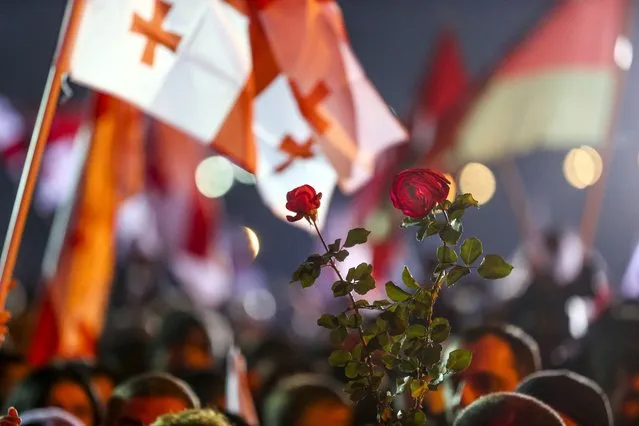 Georgian opposition supporters of former president Mikheil Saakashvili hold national flags a roses as a symbol of a revolution during a rally in front of the prison where the former president is being held, in Rustavi, about 20 km from the capital Tbilisi, Georgia, Saturday, November 6, 2021. Saakashvili was detained in Tbilisi on Saturday, Oct. 1, 2021. Doctors say former President Mikheil Saakashvili is very weak as he nears 40 days on hunger strike. He started the hunger strike after being arrested at the beginning of October when he returned to Georgia. Saakashvili, who left Georgia in 2014 and became a Ukrainian citizen, faces several charges in Georgia and earlier was sentenced in absentia to up to six years in prison. (Photo by Zurab Tsertsvadze/AP Photo)