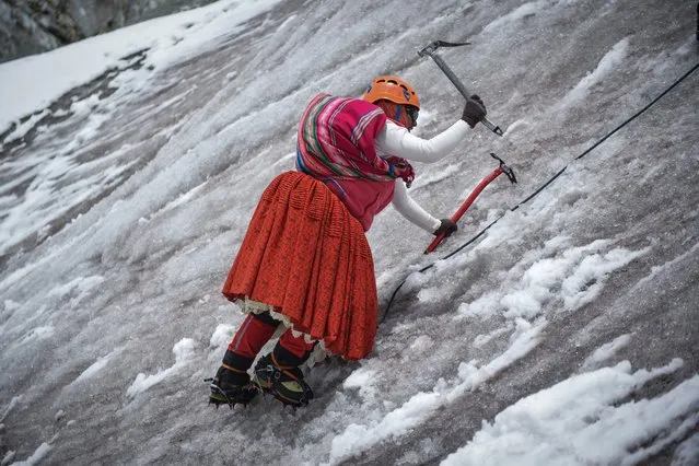 Elena Quispe Tincuta, 26, a member of the cholita climbers whose goal is to reach the summit of Everest in the 2025 season, uses ice axes to climb the snow-capped Huayna Potosi mountain, near El Alto, Bolivia on February 28, 2024. (Photo by Claudia Morales/Reuters)