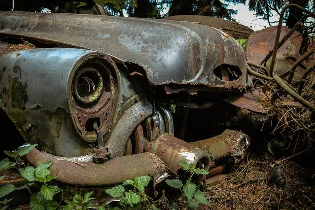 One of the cars that have fallen victim to mother nature is a 1953 Buick Roadmaster. (Photo by Robert Kahl/Mediadrumworld)