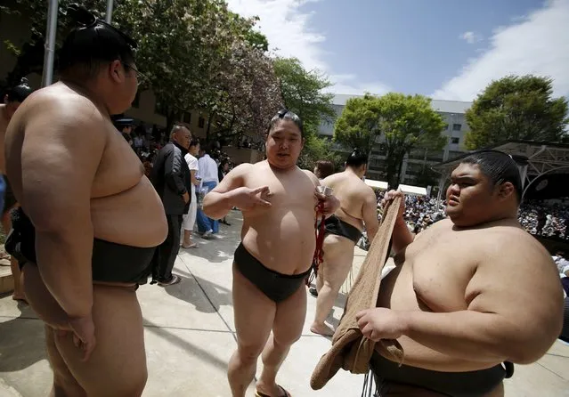 Sumo wrestlers wait for the start of the annual “Honozumo” ceremonial sumo tournament dedicated to the Yasukuni Shrine in Tokyo, Japan, April 18, 2016. (Photo by Yuya Shino/Reuters)