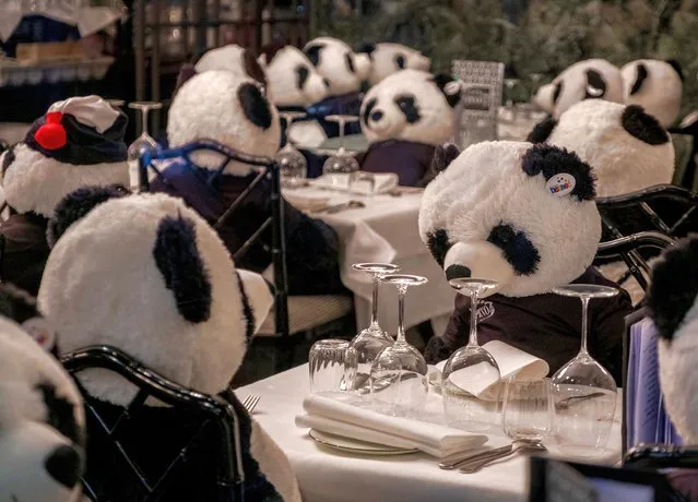 The owner of a closed restaurant has placed plush panda bears at the tables in central Frankfurt, Germany, Tuesday, February 23, 2021, as Germany is still in a partiallockdown. (Photo by Michael Probst/AP Photo)