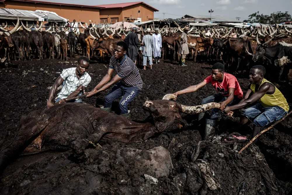 A Look at Life in Nigeria