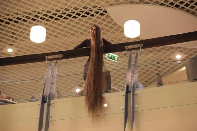 Aliia Nasyrova hanging her 90 inch hair Rapunzel style on March 5, 2017 in Riga, Latvia. (Photo by  Eduard Kolik/Barcroft Media)