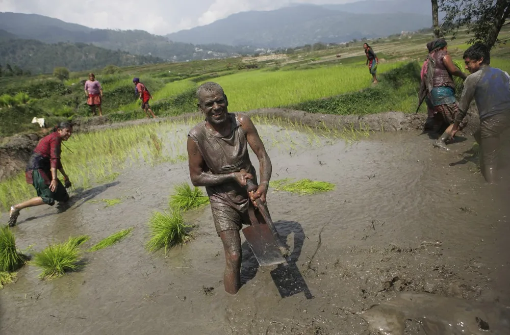 Asar Pandhra Festival in Nepal