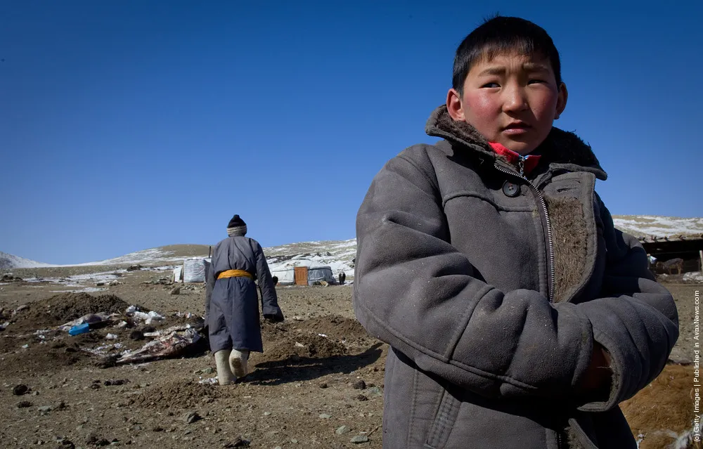 Extreme Mongolian Winter