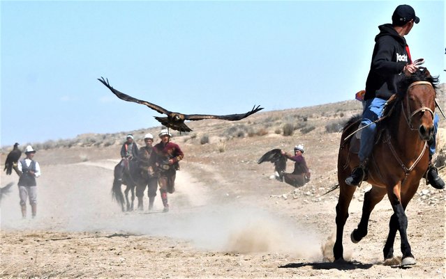 A golden eagle attacks a stuffed fox  during the Salburun hunting festival in the village of Bokonbayevo, near Lake Issyk-Kul, some 300 km from Bishkek, Kyrgyzstan on April 23, 2023. (Photo by Vyacheslav Oseledko/AFP Photo)