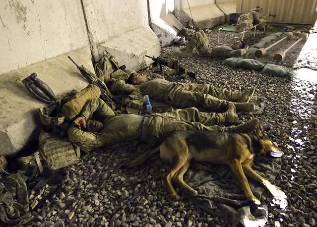 Afghanistan: Dogs of War Part 1