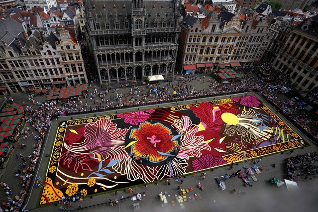 Volunteers work placing Belgian grown begonia's into a giant flower carpet with an Art Nouveau theme at the historic Grand Place in Brussels, Thursday, August 15, 2024. (Photo by Virginia Mayo/AP Photo)