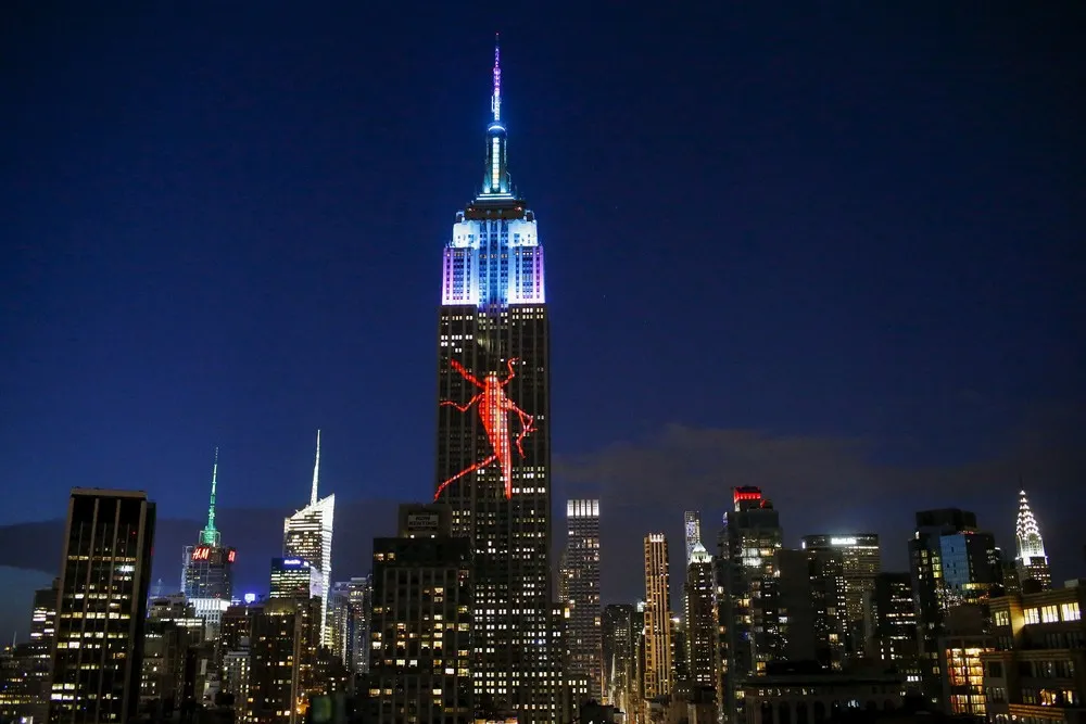 Endangered Animals on Empire State Building