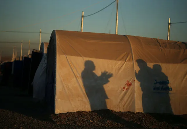 Shadows of Displaced Iraqis, who fled the Islamic State stronghold of Mosul, are cast against a tent at Khazer camp, Iraq November 24, 2016. (Photo by Mohammed Salem/Reuters)