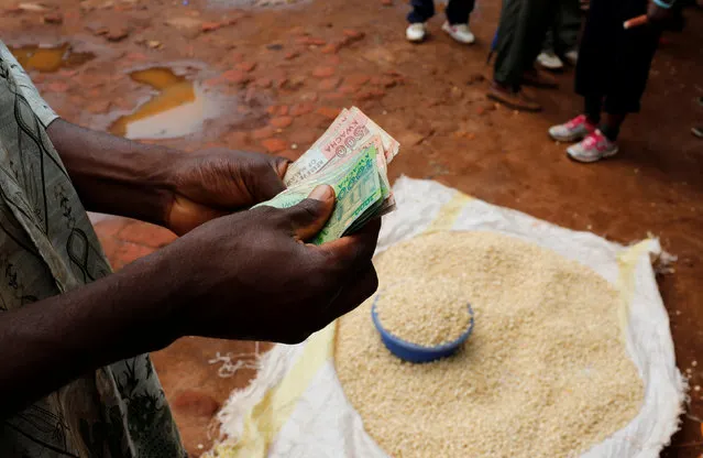 A Malawian trader counts money as he sells maize near the capital Lilongwe, Malawi February 1, 2016. (Photo by Mike Hutchings/Reuters)