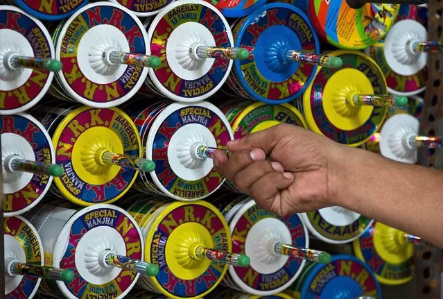 An Indian kite-maker removes a reel of kite string to be used at his shop ahead of Independence Day celebrations in New Delhi on August 6, 2014. Kite-flying is a traditional Independence Day tradition. India will celebrate Independence Day on August 15. (Photo by Prakash Singh/AFP Photo)