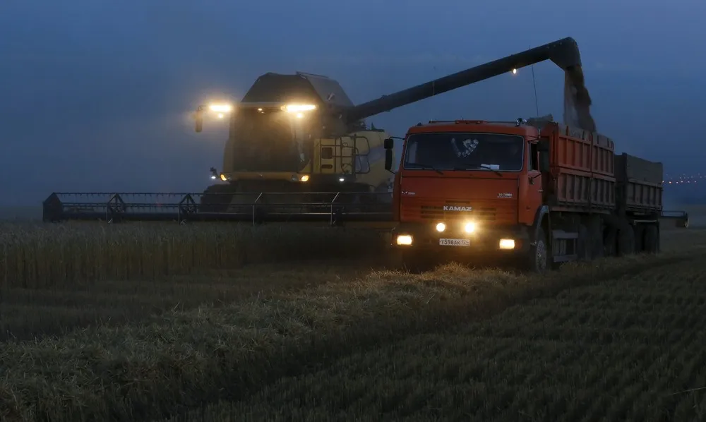 Harvest Time in Russia