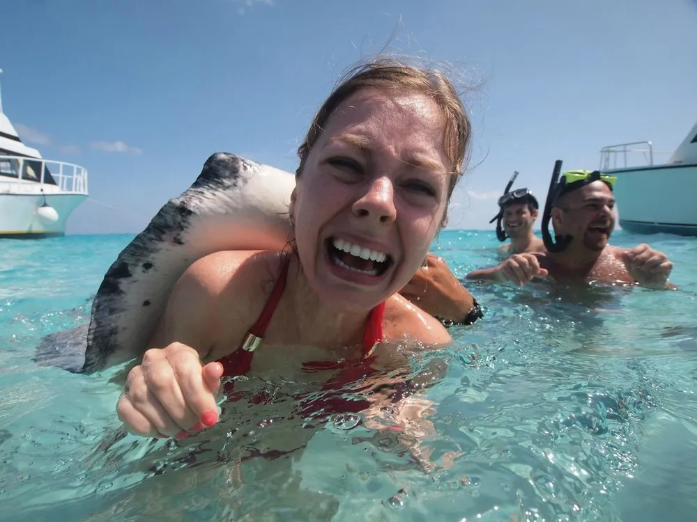 Stingray City, Grand Cayman