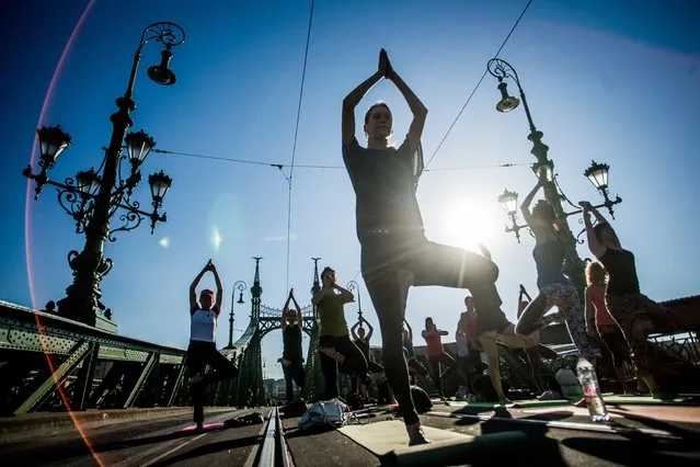 People perform yoga exercises on Liberty Bridge, which is closed from traffic due to tram network development of South Buda in Budapest, Hungary, Thursday, July 21, 2016. (Photo by Zoltan Balogh/MTI via AP Photo)