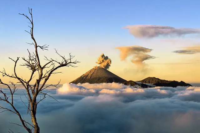 “Heaven on Earth”. Taken from Mount Bromo over view Semeru Mount. It was so cloudy at that morning so I climbed higher and higher trying to be above the cloud crossing my finger. Boom this is what I get to get the sunrise. Photo location: Bromo, East Java, Indonesia. (Photo and caption by Hartono Hosea/National Geographic Photo Contest)