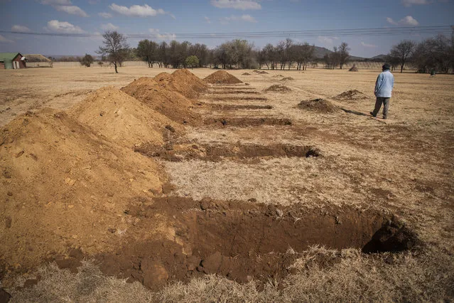 A worker walks past a freshly-dug graves at the Honingnestkrans Cemetery, North of Pretoria, South Africa, Thursday, July 9, 2020. The Africa Centers for Disease Control and Prevention says the coronavirus pandemic on the continent is reaching “full speed” after cases surpassed a half-million and a South African official said a single province is preparing 1.5 million grave. (Photo by Shiraaz Mohamed/AP Photo)