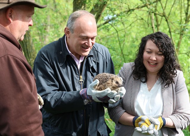 Liberal Democrat leader, Ed Davey, centre, with, Victoria Collins, Liberal Democrat MP for Harpenden & Berkhamsted, right, holds a hedgehog at the Hornbeam Hedgehog Sanctuary, in Harpenden, left, Martin Maylin, owner and manager of the sanctuary, as Ed Davey campaigns for local elections in Hertfordshire, UK on April 25, 2025. (Photo by Jacqueline Lawrie/London News Pictures)
