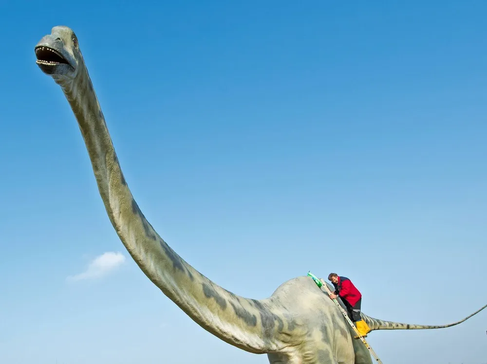 Dino Statue Causes Traffic Headache
