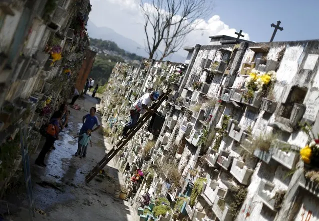 A man cleans a grave at the General Cemetery in Guatemala City, October 31, 2015. (Photo by Jorge Dan Lopez/Reuters)