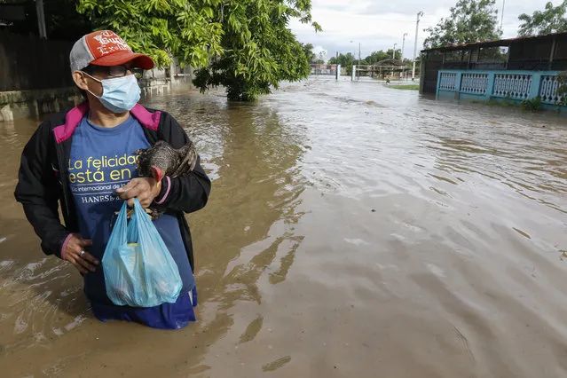 A resident, carrying a chicken, stands on a street inundated with floodwaters in the neighborhood of Planeta, Honduras, Thursday, November 5, 2020. (Photo by Delmer Martinez/AP Photo)