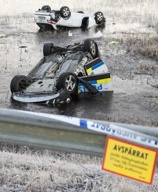 A police car and the car they chased lay upside down in the Viskasjon Lake in the village Fredrika west of Umea, northern Sweden, 05 November 2015. One police officer was killed and another sustained serious injuries when their police car crashed into the lake in icy conditions early Thursday morning. The police car was chasing a car that fled from a police control in Ornskoldsvik, some 100 kilometers, from the crash site. The 25-year old man in the fleeing car sustained minor injuries. (Photo by Rolf Hojer/EPA)