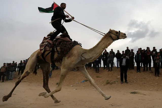 A Palestinian man participates in a local camel race during a tent city protest at Israel-Gaza border, in the southern Gaza Strip April 3, 2018. (Photo by Ibraheem Abu Mustafa/Reuters)