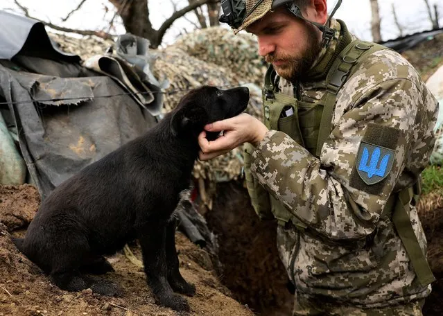 Ukrainian service man Olexandre of the 24th brigade plays with a puppy dog in the trenches at the frontline, amid Russia’s attack on Ukraine near Niu York, Donetsk region, Ukraine on April 4, 2023. (Photo by Kai Pfaffenbach/Reuters)