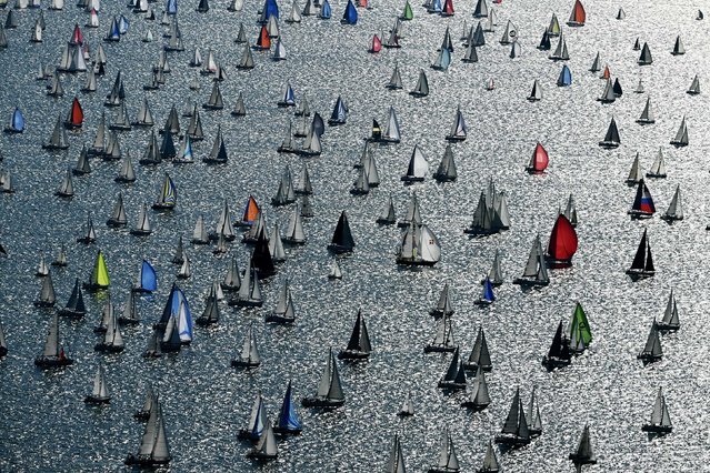 Boats sail at the start of the Barcolana Sailing Regatta in the Gulf of Trieste on Sunday, October 12, 2025. The Gulf of Trieste is in the northern part of the Adriatic Sea near Croatia, Italy and Slovenia. (Photo by Stefano Rellandini/AFP Photo)