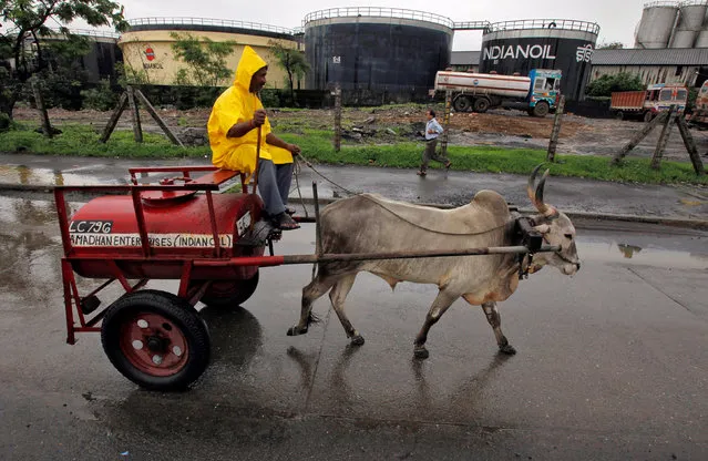 A worker transporting kerosene in a bullock cart travels past Indian Oil Corporation's fuel depot in Mumbai July 8, 2010. (Photo by Danish Siddiqui/Reuters)