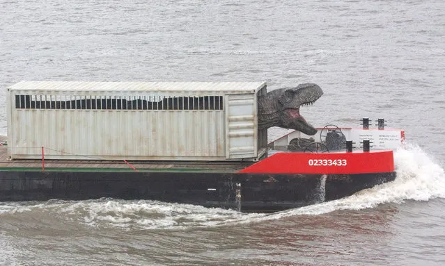A T-Rex is seen on the River Thames as it is delivered to the Jurassic World: Fallen Kingdom event in London, UK on May 23, 2018. (Photo by David Taylor/Rex Features/Shutterstock)