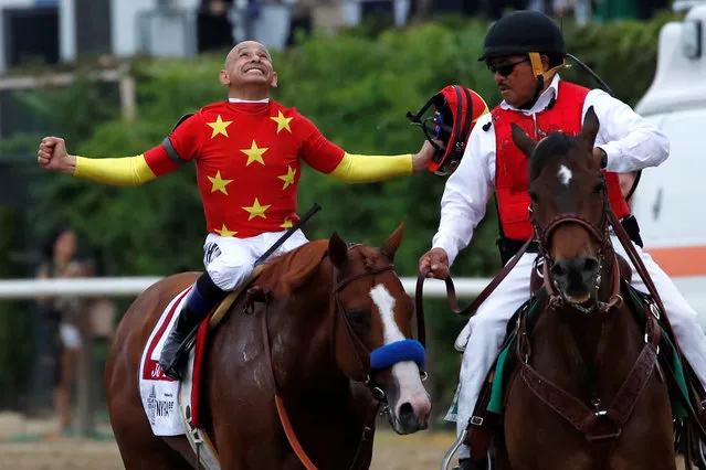 Jockey Mike Smith celebrates aboard Justify after winning the 150th running of the Belmont Stakes, the third leg of the Triple Crown of Thoroughbred Racing at Belmont Park in Elmont, New York, U.S., June 9, 2018. (Photo by Mike Segar/Reuters)