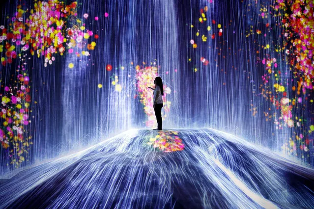 A young woman stands in a digital artwork on display at the digital art museum “teamLab Borderless” by Japanese creative group teamLab in Tokyo, Japan, 11 June 2018. The 10,000 square meter digital art museum featuring approximately 50 interactive artworks will open to the public on 21 June. (Photo by Franck Robichon/EPA/EFE)